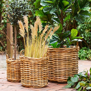 Burton Planteringskorgar