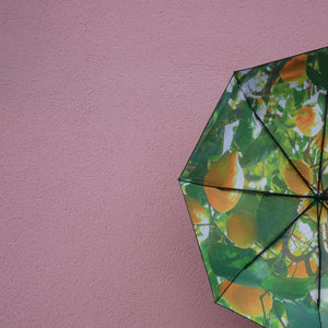 Lemon Umbrella –  UPF50+